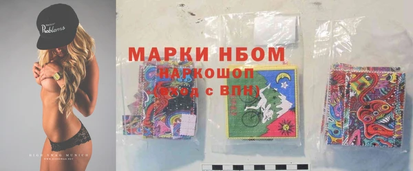 гашик Касимов