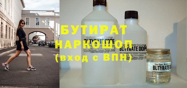 сатива Карпинск