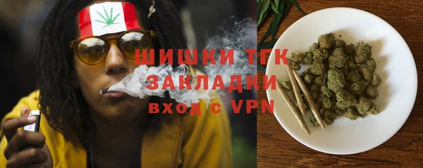 сатива Карпинск