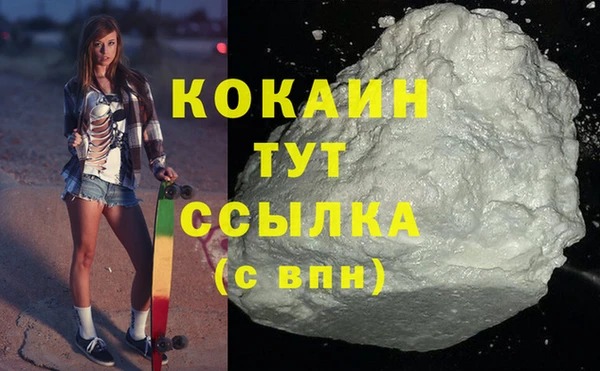 гашик Касимов
