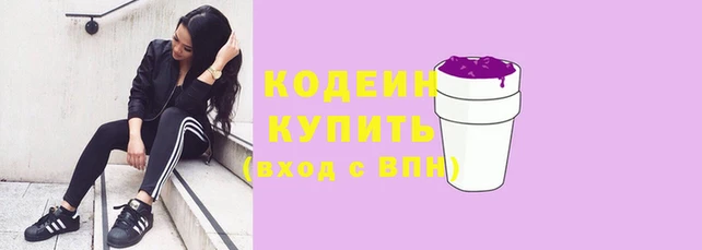гашик Касимов