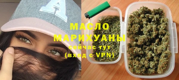 сатива Карпинск