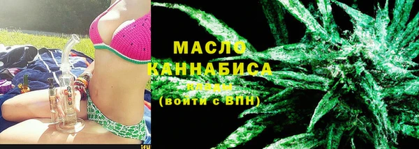 сатива Карпинск