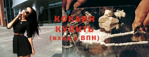 сатива Карпинск