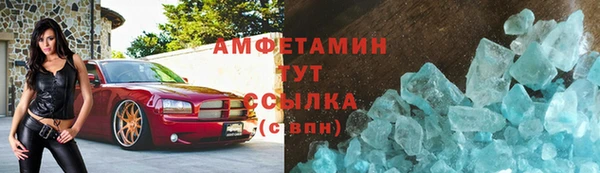 сатива Карпинск