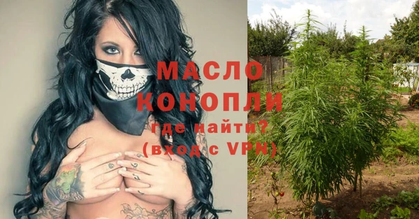 сатива Карпинск