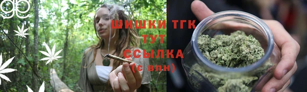 сатива Карпинск