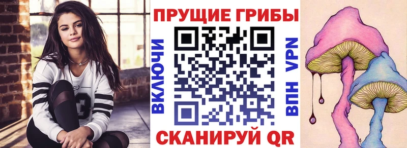 Купить где  Донецк  Галлюциногенные грибы Psilocybe 